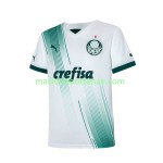 Maillot/Tenue Palmeiras Exterieur 2023/2024 Maillot/Tenue Palmeiras Exterieur 2023/2024